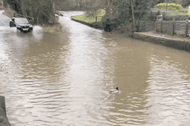 Phi qua vùng nước ngập, chiếc SUV hạng sang nhận "án tử"