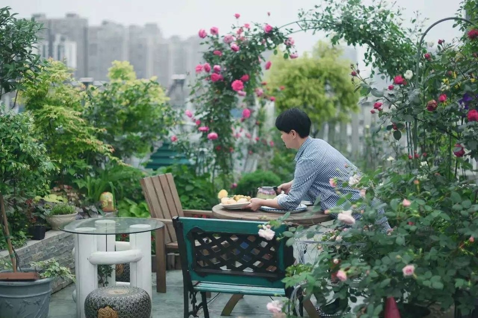 Người phụ nữ biến sân thượng bỏ không thành khu vườn vạn người mê - 14 Người phụ nữ biến sân thượng bỏ không thành khu vườn vạn người mê - 14