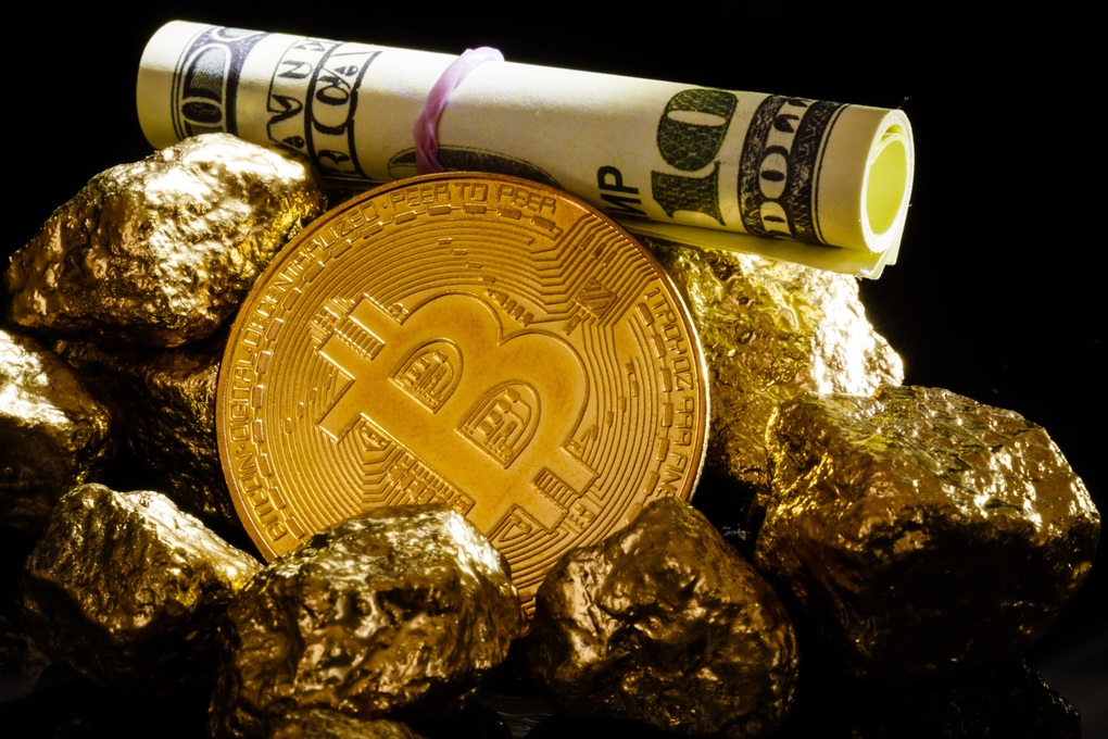 Haie horten heimlich Kryptowährungen und das neue Fieber an der Wall Street – 1 Cá mập âm thầm tích trữ tiền mã hóa và cơn sốt mới ở phố Wall - 1