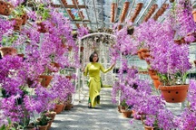 Không gian trưng bày sản vật độc đáo tại Tuần Du lịch - Văn hóa Lai Châu 2024