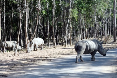 Vinpearl Safari bác bỏ thông tin "1.000 con chim và gần 700 động vật có vú đã chết"