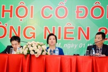 Mẹ Cường “đô la” tiếp tục tại vị ghế HĐQT, TGĐ Quốc Cường Gia Lai