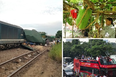 “Vận đen” ngành đường sắt và làng bí đao khổng lồ vào mùa thu hoạch