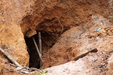 Nhiều đối tượng đào hàng loạt hang sâu bí ẩn trên đất trồng keo của dân tại Bình Định!