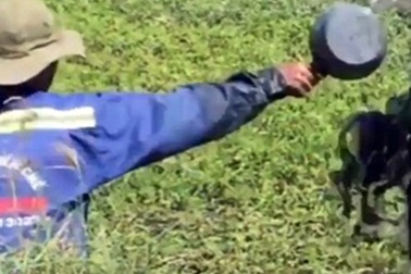 Bài 2: Tranh cãi chuyên môn để xác lập hành vi