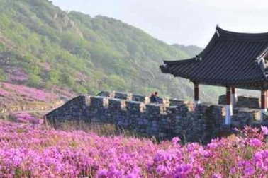 Không ngờ HLV đội tuyển U23 VN có quê hương đẹp thế này