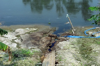 Cơ sở sản xuất giấy “đầu độc” sông Nhuệ bằng hóa chất