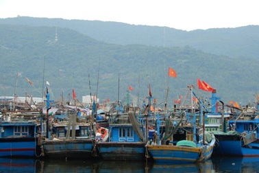 Đà Nẵng, Quảng Trị nghiêm cấm tàu thuyền ra khơi