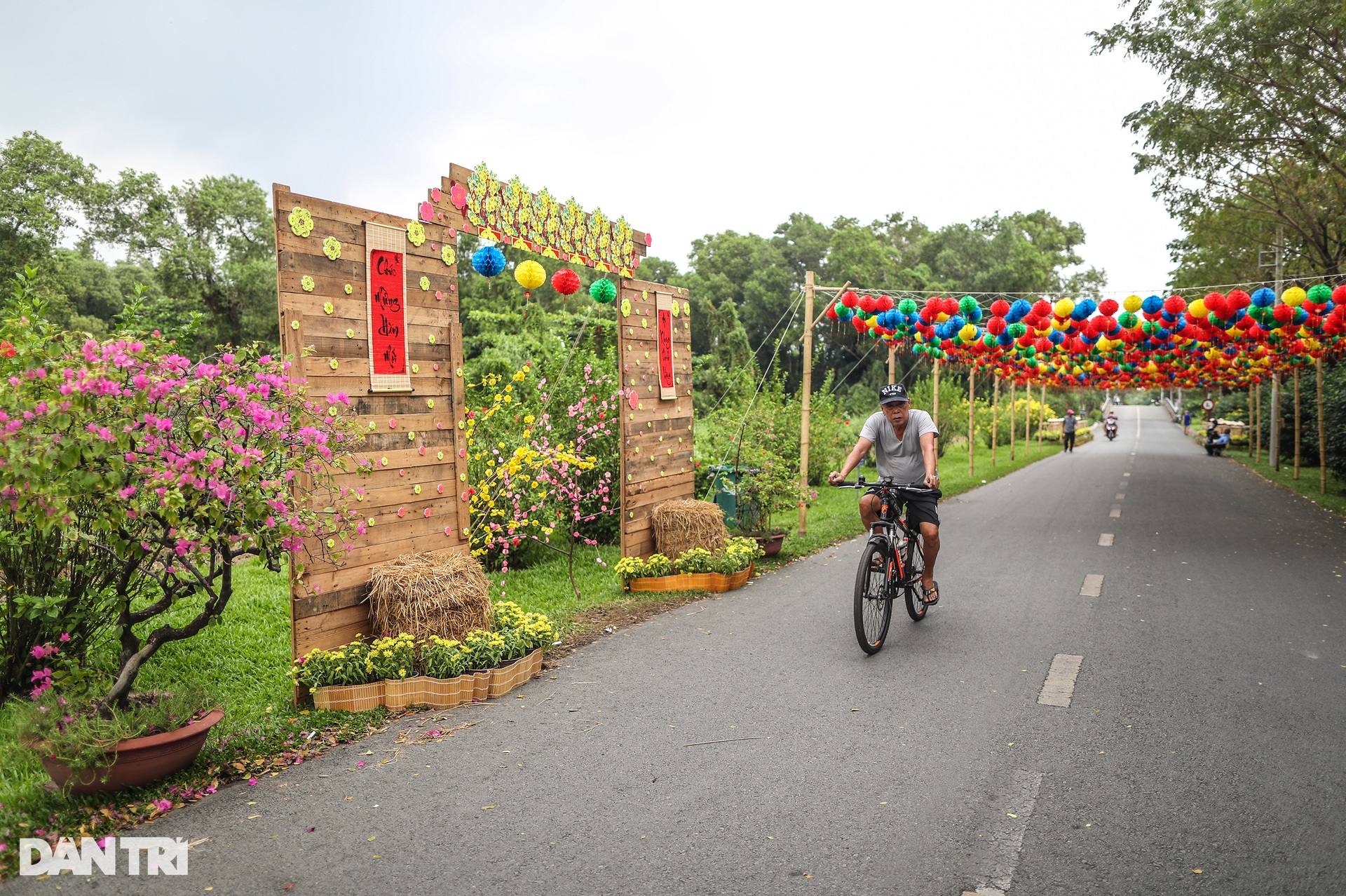 Giới trẻ check-in cung đường đầy đèn lồng ở TPHCM - 2 Giới trẻ check-in cung đường đầy đèn lồng ở TPHCM - 2