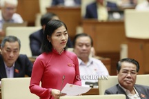 Bức xúc vì vật tư y tế bị “thổi” giá, thịt lợn “muốn rẻ lên ti vi mà mua”