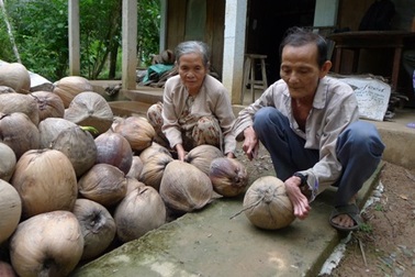 Thương hai vợ chồng già thường xuyên bị con cho ăn... nắm đấm