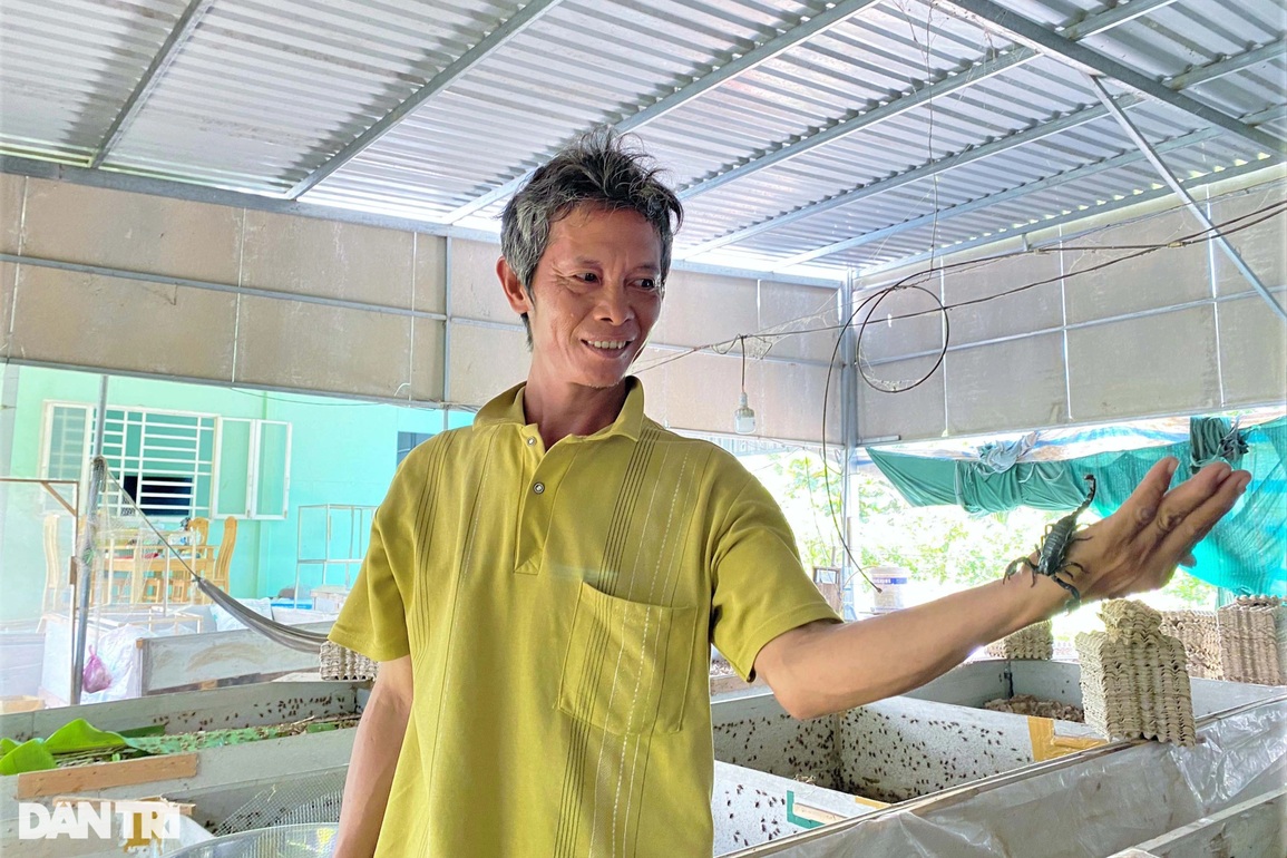 Chỉ 100.000 đồng mua dế giống, lão nông thu lãi hơn 20 triệu mỗi tháng - 7 Chỉ 100.000 đồng mua dế giống, lão nông thu lãi hơn 20 triệu mỗi tháng - 7