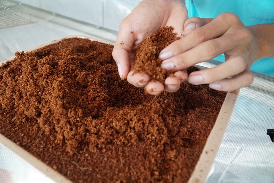 Khởi nghiệp thành công từ một... ổ dế được cho - 4 Khởi nghiệp thành công từ một... ổ dế được cho - 4