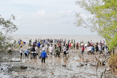 Bộ Tài nguyên và Môi trường phát động trồng rừng ven biển Bạc Liêu