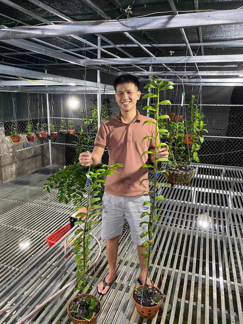 Nghệ nhân trồng lan Nguyễn Minh Quân chia sẻ bí quyết chăm sóc lan vào mùa hè - 1 Nghệ nhân trồng lan Nguyễn Minh Quân chia sẻ bí quyết chăm sóc lan vào mùa hè - 1