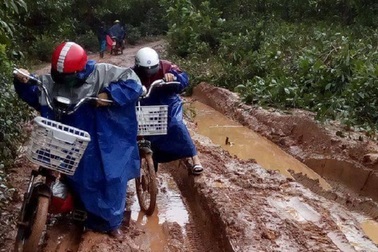 Đường quá lầy lội, học sinh phải chuyển sang... tỉnh khác học