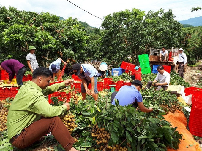 Phát triển hợp tác xã gắn với giảm nghèo và xây dựng nông thôn mới - Ảnh 1.