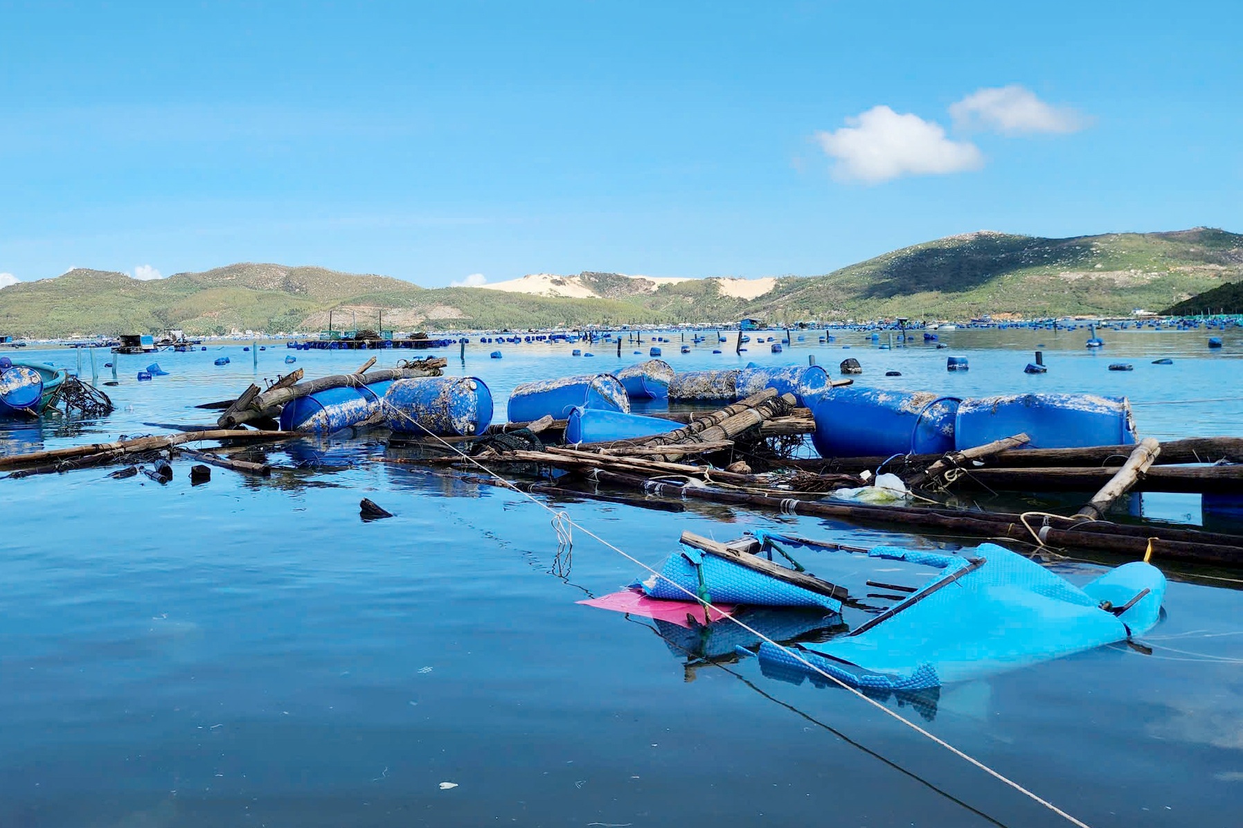 Bão Kalmaegi đưa nhiều người dân thủ phủ tôm hùm trở về tay trắng - 3