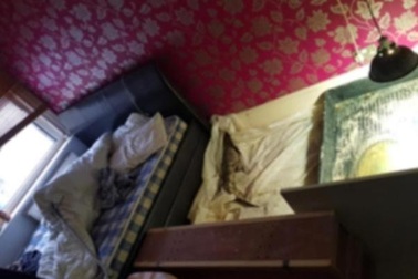 Xộ khám vì nuôi cá sấu, rắn hổ mang và nhiều loài bò sát khác trong phòng ngủ