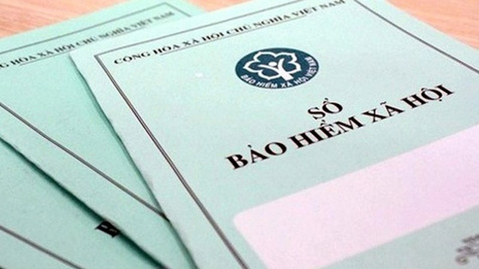 Bình Thuận: 8 doanh nghiệp bị đề nghị khởi tố vì nợ 1 tỷ đồng đóng BHXH - 1 Bình Thuận: 8 doanh nghiệp bị đề nghị khởi tố vì nợ 1 tỷ đồng đóng BHXH - 1