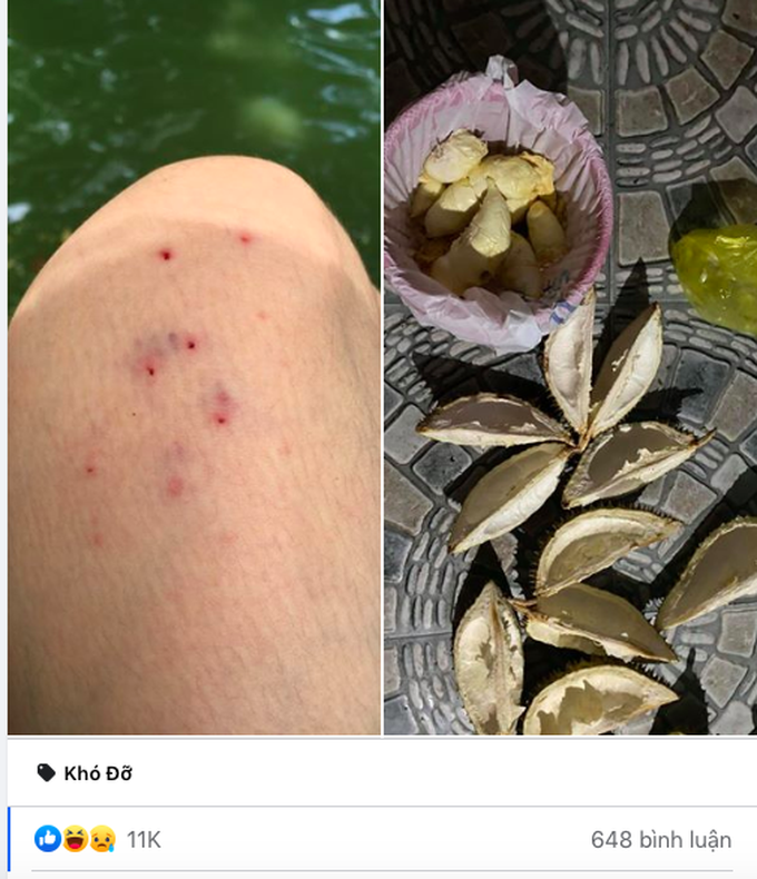 Đi 60km mua sầu riêng bị sầu rơi thâm tím cả đùi, nhưng mang 3 quả về bổ ra cái kết còn "đắng lòng" hơn nữa - Ảnh 1. Đi 60km mua sầu riêng bị sầu rơi thâm tím cả đùi, nhưng mang 3 quả về bổ ra cái kết còn "đắng lòng" hơn nữa - Ảnh 1.