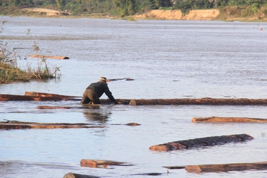 Họp báo vụ gỗ lậu “tấp nập” trôi trên sông: Hỏi gì cũng... không biết (?!)
