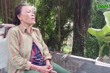 Dân bị "tra tấn" bởi tiếng ồn từ xí nghiệp gỗ