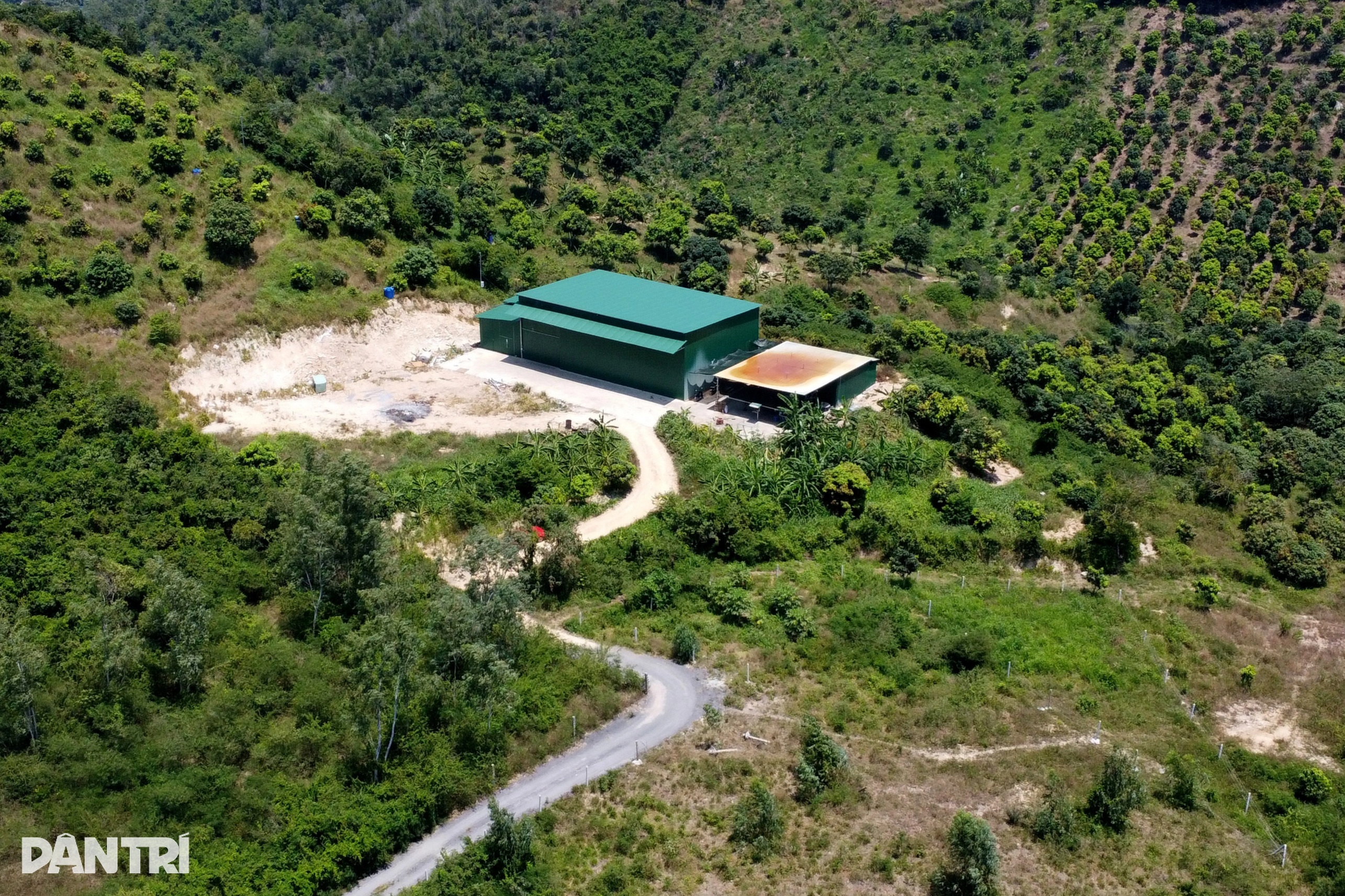 מפעל סמים ענק ליד בית קברות: בעל הקרקע זוהה - 1 Xưởng ma túy khủng gần nghĩa trang: Đang xác định chủ đất - 1