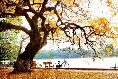 Trắc nghiệm: Từ mới tiếng Anh mỗi ngày với mùa thu