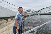 Kỹ sư bỏ công việc ổn định, chọn nghề nhiều rủi ro và cái kết như mơ