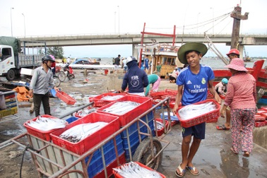 Học sinh vùng biển làm ở cảng cá, lò hấp kiếm tiền trước thềm năm học mới
