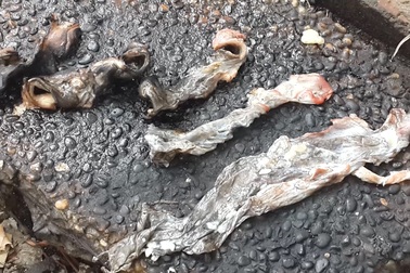 Lại phát hiện cơ sở “hô biến” thịt heo thành đặc sản