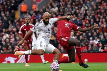 Cá cược thể thao trên thế giới: Muôn hình vạn trạng