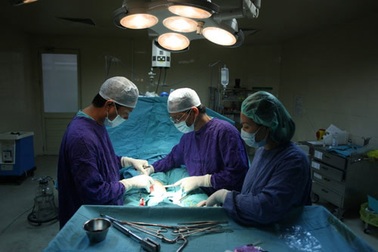  Kì lạ chuyện tái tạo “vùng kín” bằng...niêm mạc miệng 