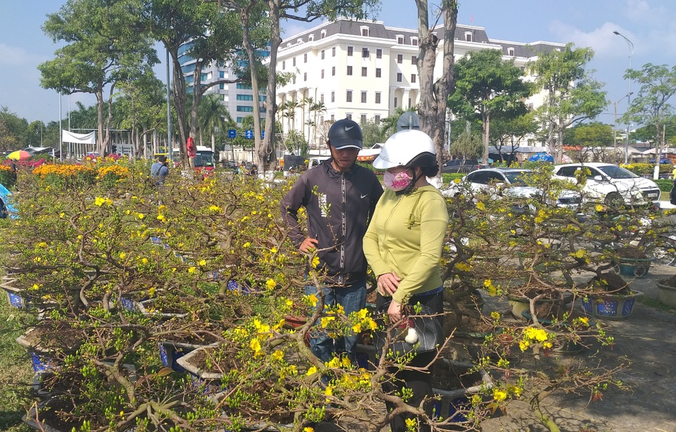 Hoa Tết ngập tràn, khách mua vắng vẻ - 1 Hoa Tết ngập tràn, khách mua vắng vẻ - 1