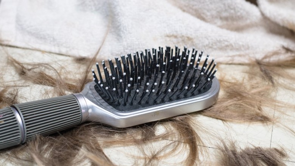 Những rắc rối từ mái tóc đẹp  - 1