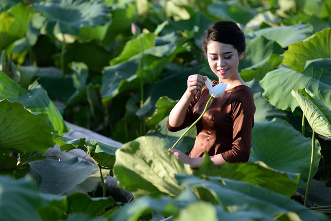 hoa sen, Hồ Tây, áo yếm, chụp ảnh, đầm sen, đầm sen Hồ Tây, giới trẻ