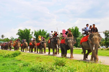 Độc đáo lễ bắt rể cho con gái bằng 14 chú voi khủng ở Tây Nguyên