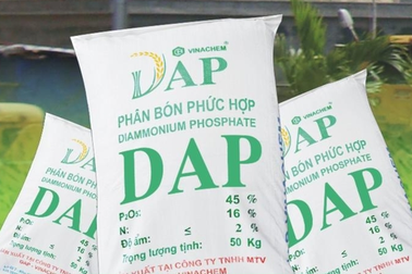 "Giải cứu" nhà máy DAP thua lỗ ngàn tỷ, vẫn còn những nỗi lo