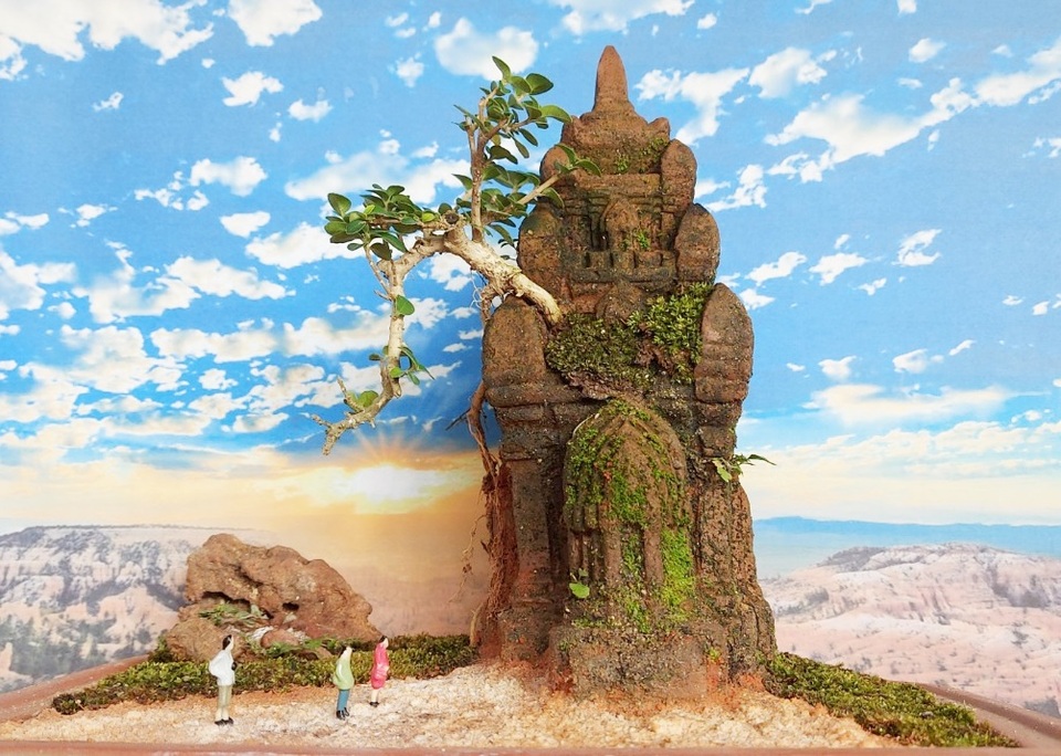 Người đàn ông Nha Trang sở hữu hàng nghìn bonsai, tiểu cảnh mini - 6 Người đàn ông Nha Trang sở hữu hàng nghìn bonsai, tiểu cảnh mini - 6