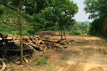 Vụ nghi án oan sai ở Thái Nguyên: Con dại, cái mang?