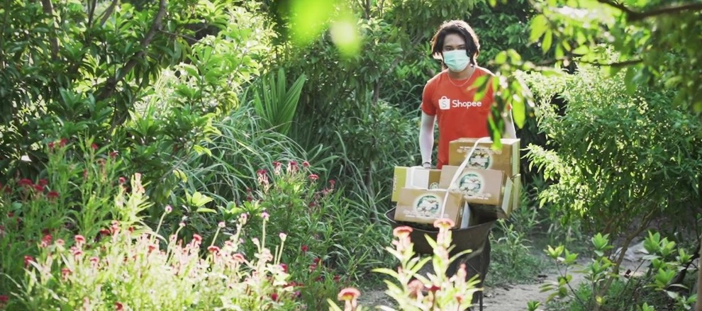 Nhãn Hưng Yên và một mùa thu hoạch thật khác - 3 Nhãn Hưng Yên và một mùa thu hoạch thật khác - 3