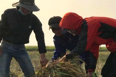 Một “phép màu” đầy yêu thương!