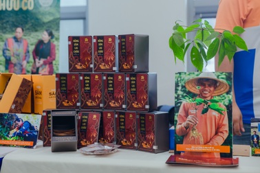 Hồng Sâm Lai Châu lần đầu tiên xuất hiện tại hội thảo khoa học quốc tế