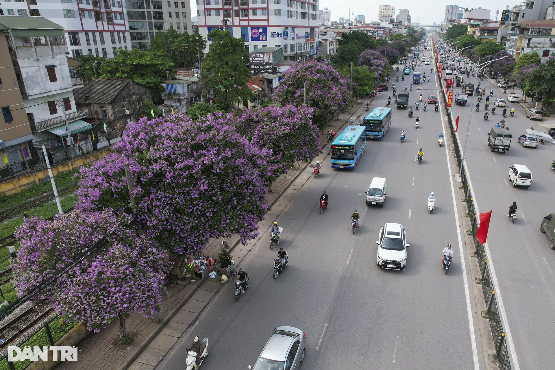 Hà Nội rực rỡ trong mùa hoa tháng 5 - 7 Hà Nội rực rỡ trong mùa hoa tháng 5 - 7