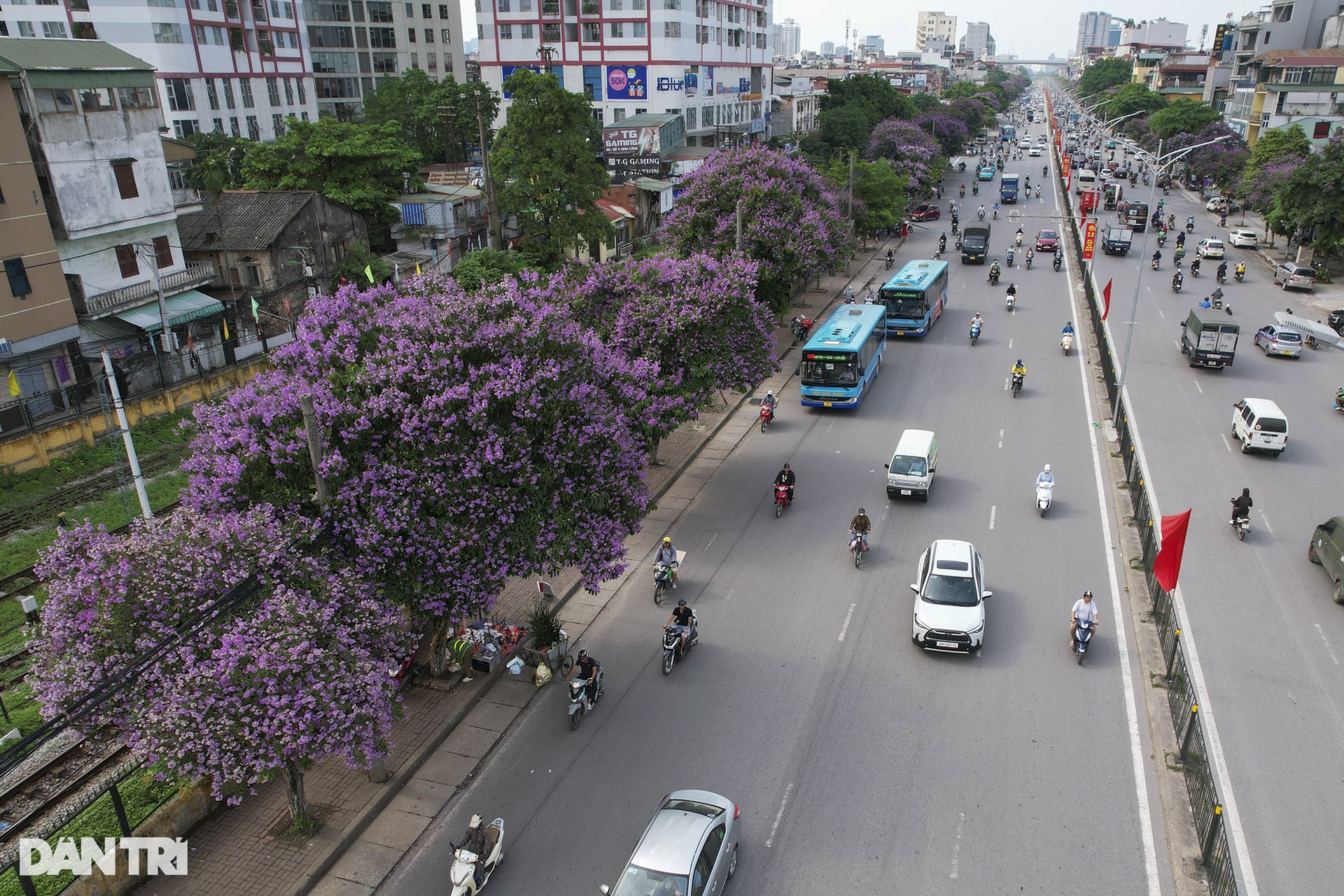 Hà Nội rực rỡ trong mùa hoa tháng 5 - 7