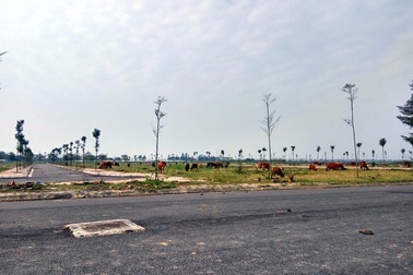 Hà Nội: Giá đất tại 4 huyện “nhảy múa”, có nên tin?