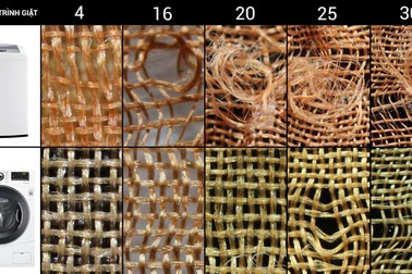 So sánh: Máy giặt lồng đứng và máy giặt lồng ngang