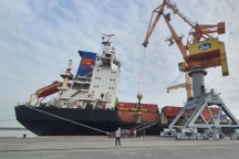 Thiết lập tuyến vận tải biển kết nối trực tiếp Việt Nam - Malaysia - Ấn Độ