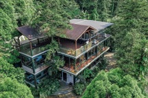 Người đàn ông mua quả đồi 12 nghìn m2 làm nhà để bảo vệ thiên nhiên